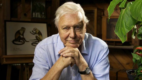 David Attenborough