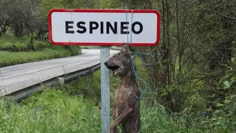 Lobo colgado de señal en Asturias Lobo colgado de señal en Asturias