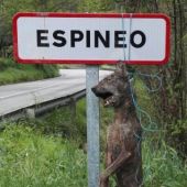 Lobo colgado de señal en Asturias