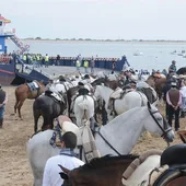 Caballos en la romería del Rocío Caballos en la romería del Rocío