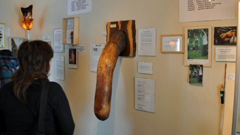 museo