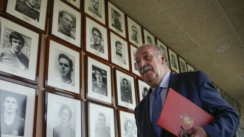 Vicente del Bosque