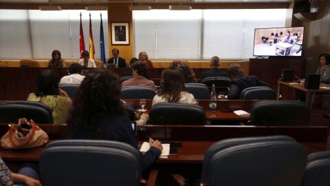 Comisi&oacute;n de investigaci&oacute;n de la corrupci&oacute;n de la Asamblea de Madrid