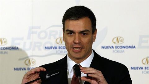 El secretario general del PSOE, Pedro S&aacute;nchez