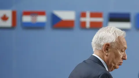 Margallo en una imagen de archivo Margallo en una imagen de archivo