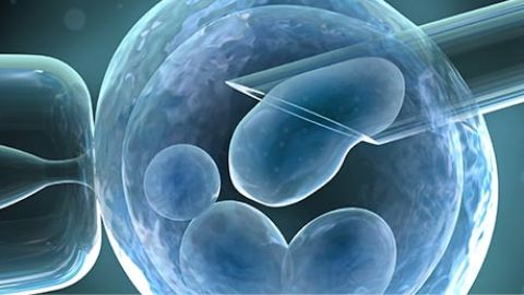 Donaci&oacute;n de ovulos