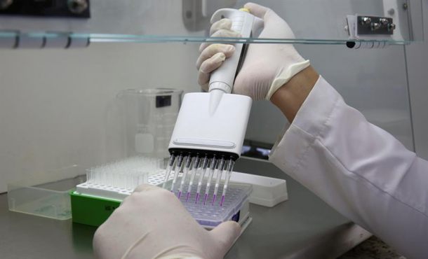 Retiran botes de judías cocidas y bacalao desalado sospechosos de botulismo Retiran botes de judías cocidas y bacalao desalado sospechosos de botulismo