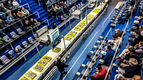 Rula de Avilés Rula de Avilés