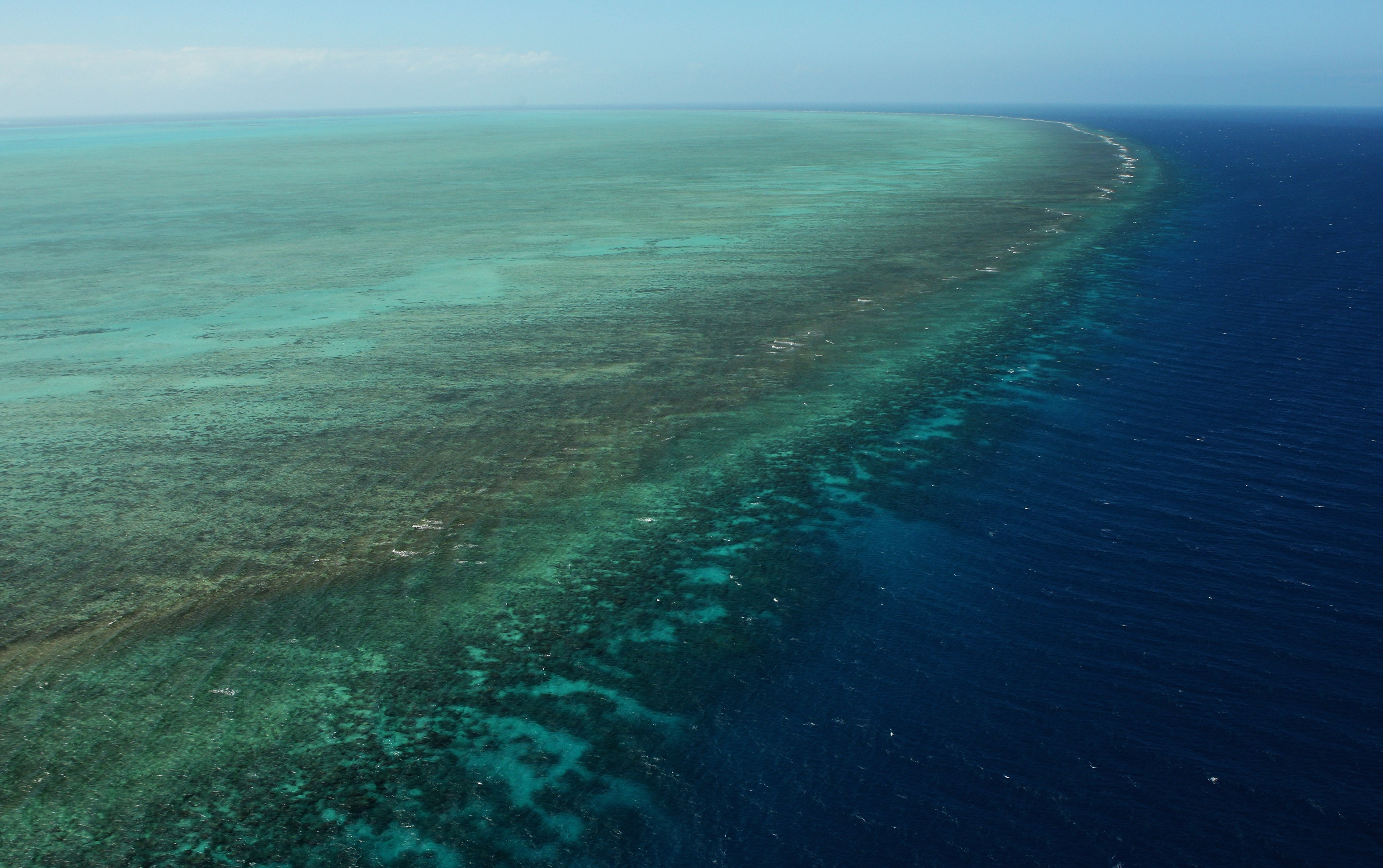 El Cierre: Los corales están muriendo por el cambio climático El Cierre: Los corales están muriendo por el cambio climático