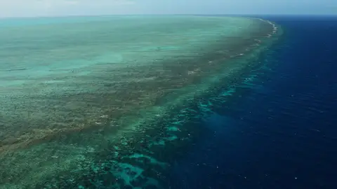 La Gran Barrera de Coral, en Australia La Gran Barrera de Coral, en Australia