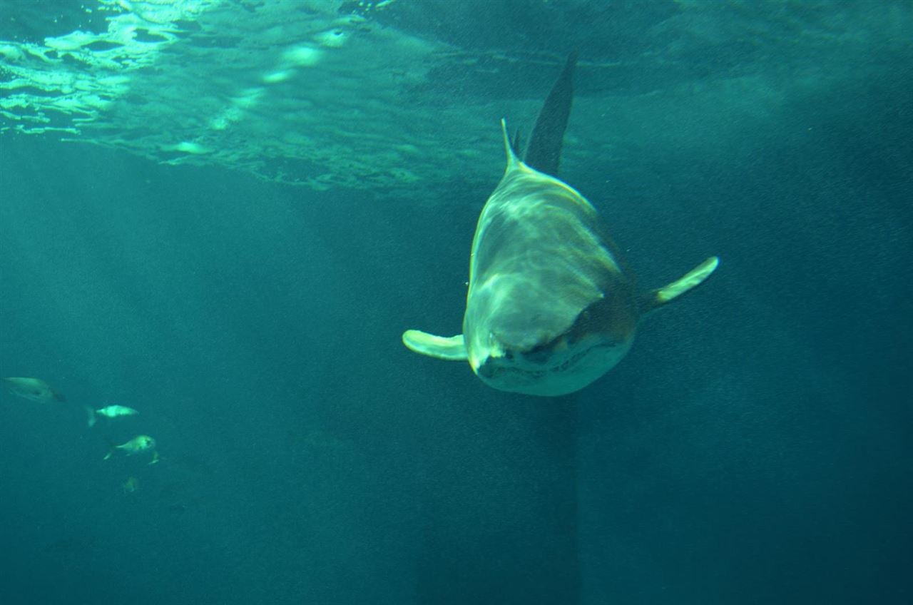 Más de uno Sevilla 21/12/2021 Más de uno Sevilla 21/12/2021