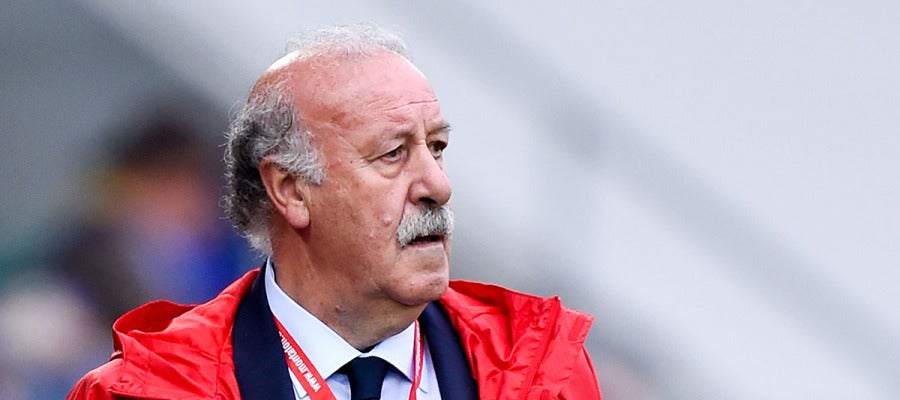 Vicente del Bosque durante el entrenamiento de España Vicente del Bosque durante el entrenamiento de España