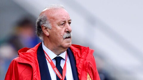 Vicente del Bosque durante el entrenamiento de Espa&ntilde;a