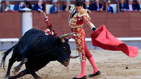 El diestro Jos&eacute; Mar&iacute;a Manzanares da un pase con la muleta durante la Corrida de la Beneficencia
