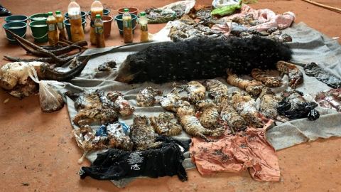 Imagen de las cr&iacute;as de tigre muertas en un templo en Tailandia