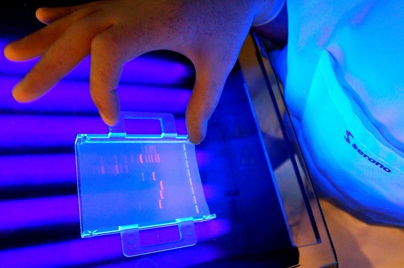 Una terapia basada en un virus aumenta la supervivencia de pacientes de cáncer Una terapia basada en un virus aumenta la supervivencia de pacientes de cáncer