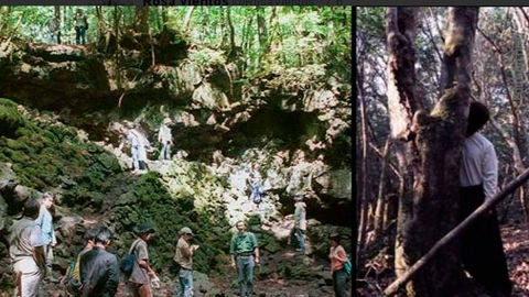 Bosque de los suicidas