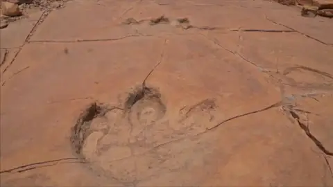 Frame 0.0 de: Científicos mexicanos dicen haber encontrado cuatro nuevas huellas de dinosaurio Frame 0.0 de: Científicos mexicanos dicen haber encontrado cuatro nuevas huellas de dinosaurio