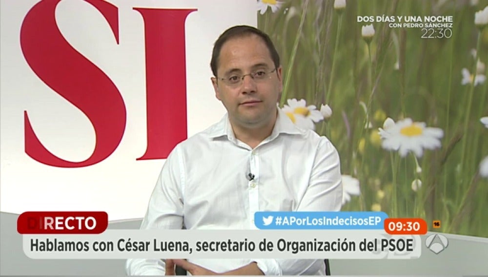 El secretario de Organización del PSOE, César Luena