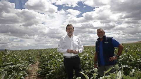 Mariano Rajoy durante la visita que ha realizado hoy a la finca de cultivo de alcachofas "Castel Ruiz"