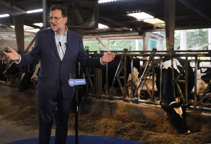 Personas físicas: El mugido de una vaca interrumpe el mitin de Rajoy Personas físicas: El mugido de una vaca interrumpe el mitin de Rajoy