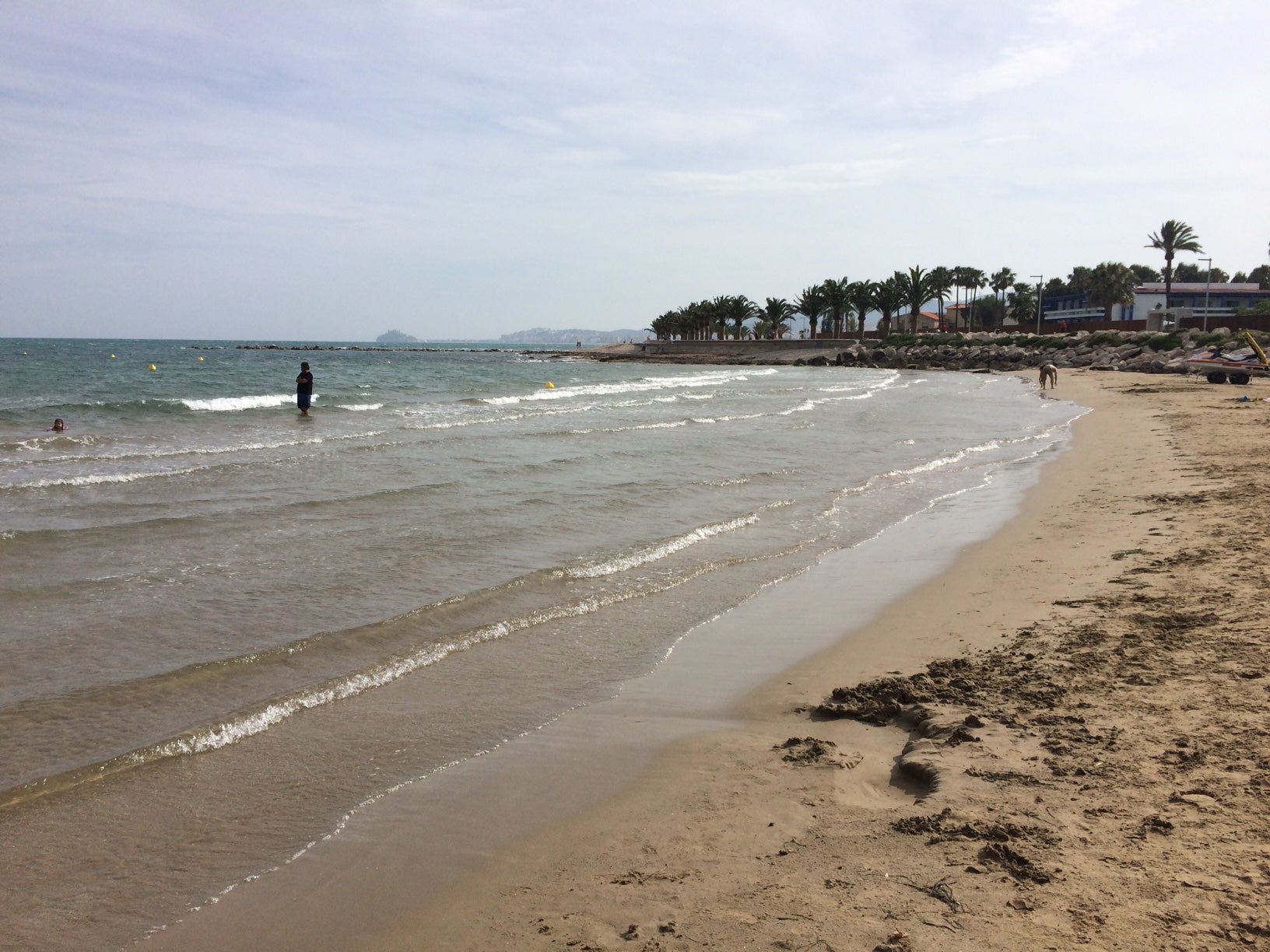 Compromís reclama, al Ministerio de Medio Ambiente, medidas efectivas en la costa Compromís reclama, al Ministerio de Medio Ambiente, medidas efectivas en la costa