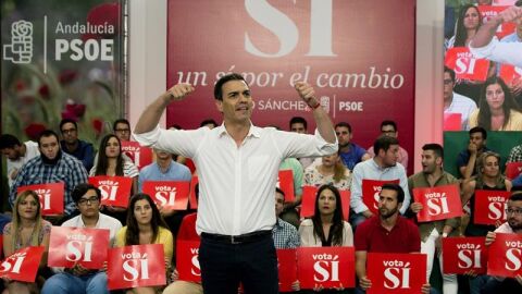 El l&iacute;der del PSOE, Pedro S&aacute;nchez