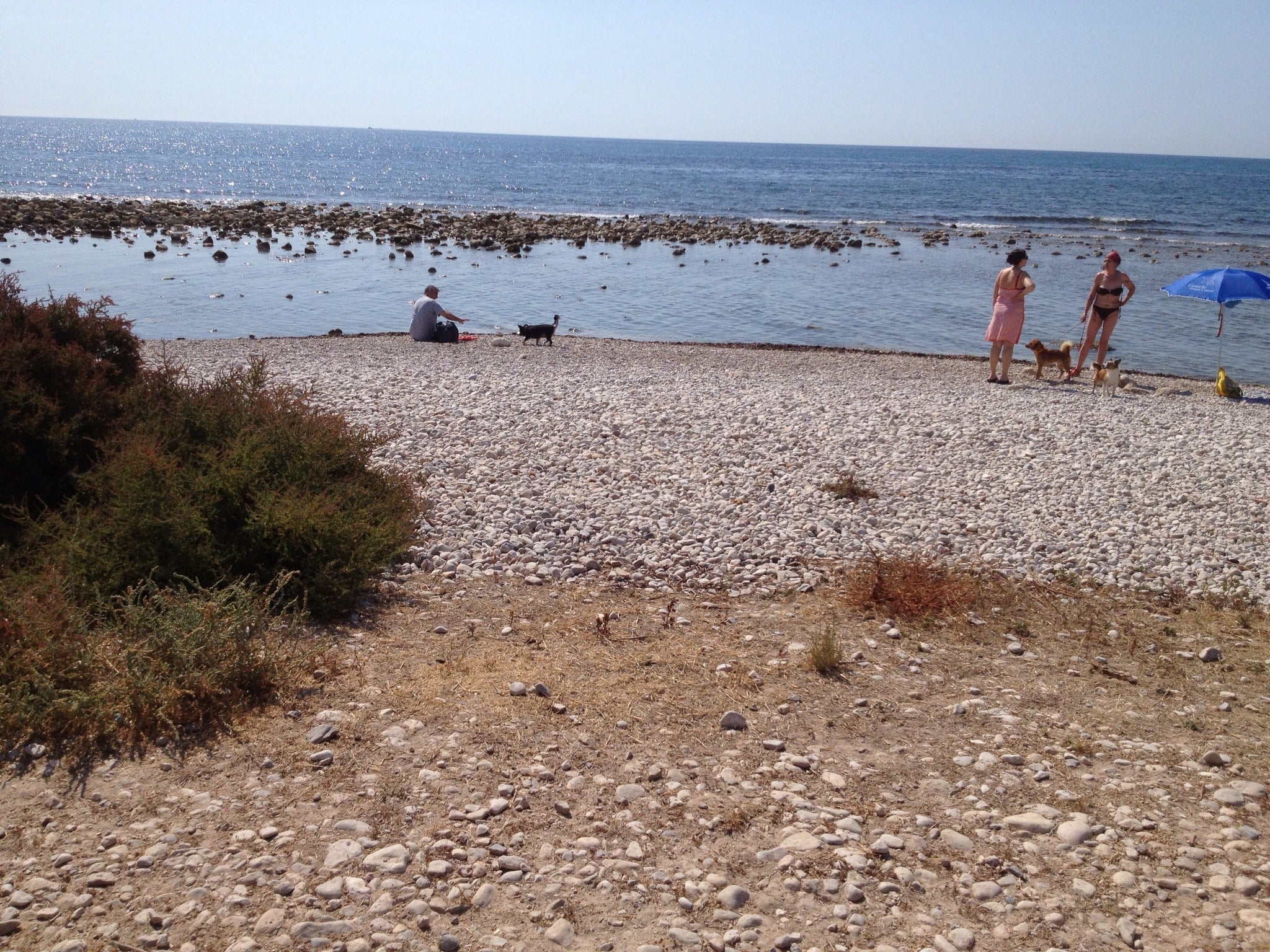 Fallece ahogado un hombre de 75 años en la playa de El Campello Fallece ahogado un hombre de 75 años en la playa de El Campello