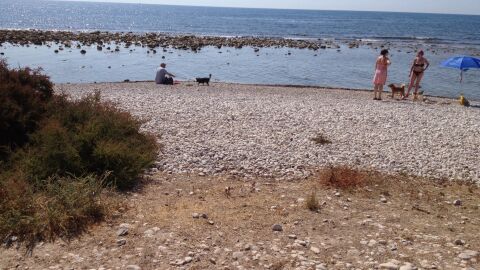 Playa de Punta del Riu (El Campello, Alicante) 