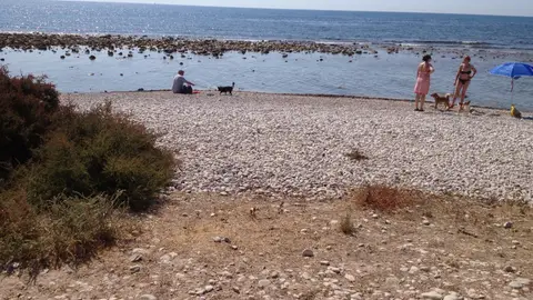 Playa de Punta del Riu (El Campello, Alicante) Playa de Punta del Riu (El Campello, Alicante)