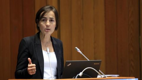 La exdirectora general de Tr&aacute;fico, Mar&iacute;a Segu&iacute;