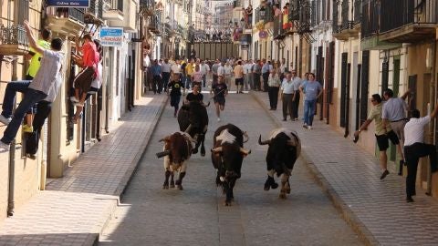 Navas de San Juan