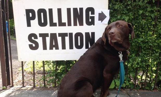 Del británico #dogsatpollingstations al español #perrosencolegioselectorales del 26J Del británico #dogsatpollingstations al español #perrosencolegioselectorales del 26J