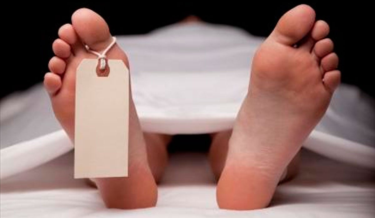 Tertulia Zona Cero: Genes que sobreviven a la muerte Tertulia Zona Cero: Genes que sobreviven a la muerte