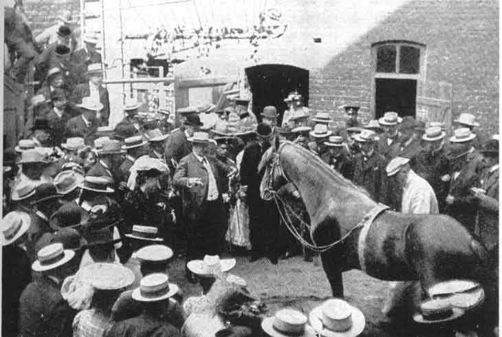 El tintero: El curioso caso de la inteligencia del caballo Hans El tintero: El curioso caso de la inteligencia del caballo Hans