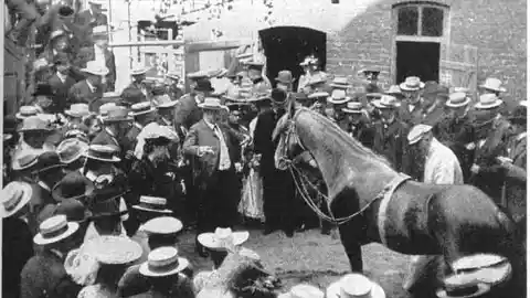 La inteligencia del caballo Hans. La inteligencia del caballo Hans.