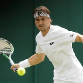 David Ferrer David Ferrer