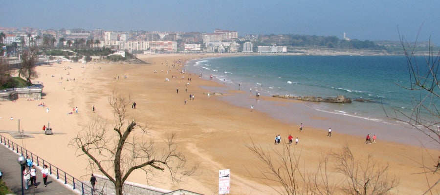 Sardinero Sardinero