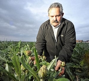 La lluvia, no se deja notar en el campo de Cartagena La lluvia, no se deja notar en el campo de Cartagena