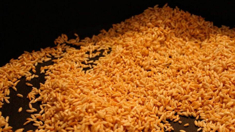 Arroz dorado