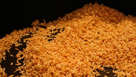 Arroz dorado