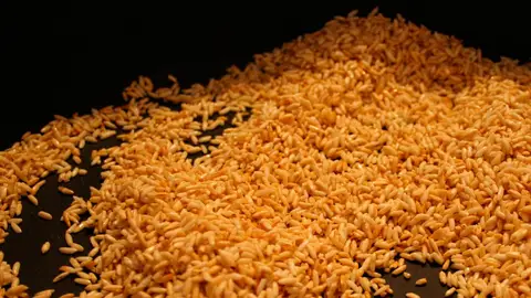 Arroz dorado Arroz dorado
