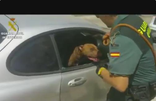 La Guardia Civil rescata a un perro del interior de un coche en pleno sol La Guardia Civil rescata a un perro del interior de un coche en pleno sol