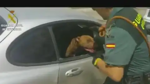 La Guardia Civil rescata a una perra de un coche estacionado a pleno sol La Guardia Civil rescata a una perra de un coche estacionado a pleno sol