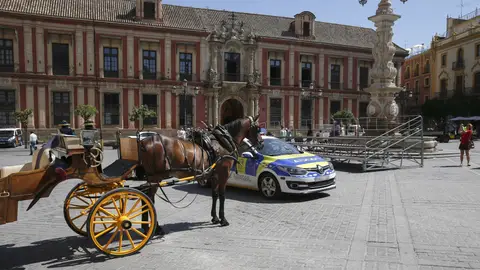 Coche de caballos en Sevilla Coche de caballos en Sevilla
