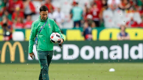 Mark Clattenburg camina sobre el c&eacute;sped de Saint-Denis entre las miles de polillas