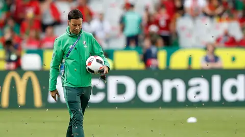 Mark Clattenburg camina sobre el césped de Saint-Denis entre las miles de polillas Mark Clattenburg camina sobre el césped de Saint-Denis entre las miles de polillas