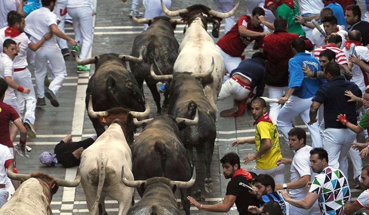 Miura cierra los Sanfermines con una carrera rápida y peligro en la plaza Miura cierra los Sanfermines con una carrera rápida y peligro en la plaza