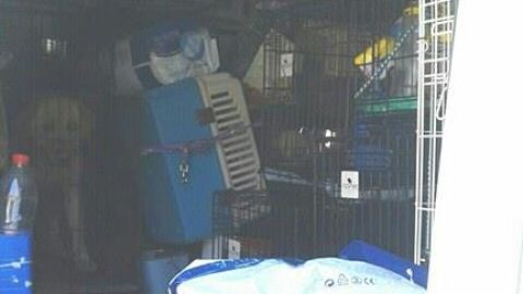 Ilegalidad e inseguridad en los transportes de mascotas