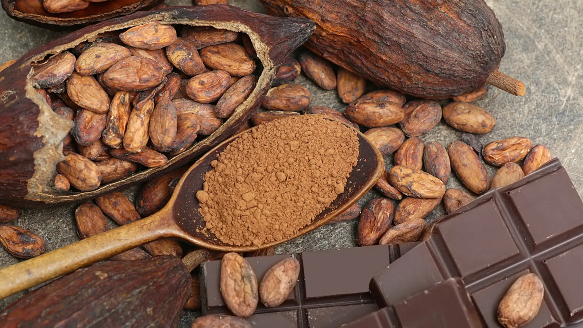 El cacao El cacao